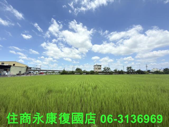 台南六甲農地-5