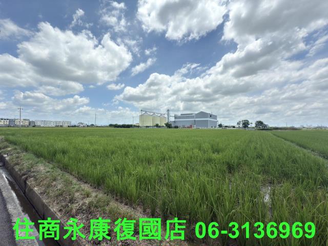 台南六甲農地-7