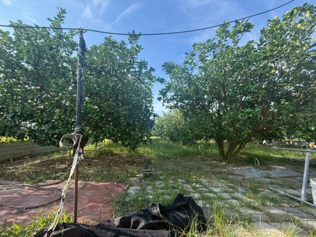 台南下營農地-12