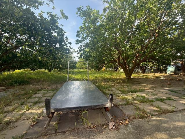 台南下營農地-4