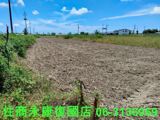 台南鹽水農地-12