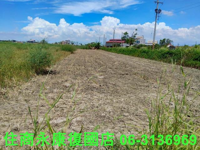 台南鹽水農地-8