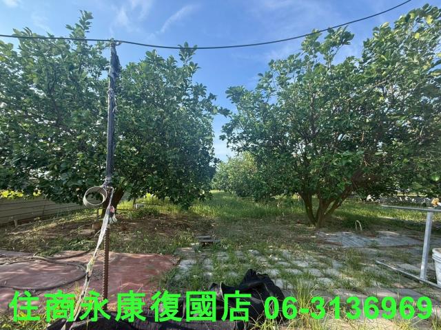 台南下營農地-13