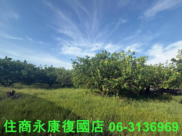 台南下營農地-5