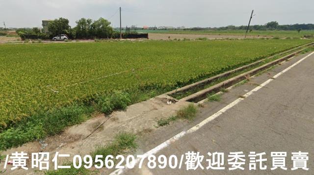 台南六甲農地-10