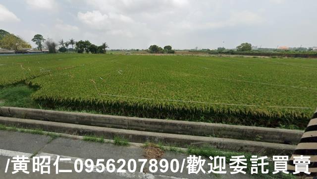 台南六甲農地-1