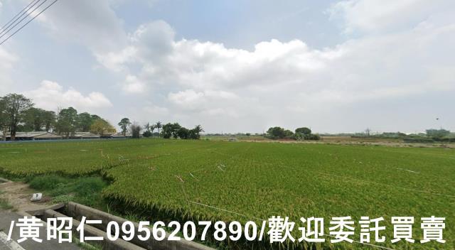 台南六甲農地-4