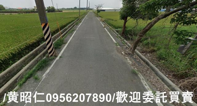 台南六甲農地-5