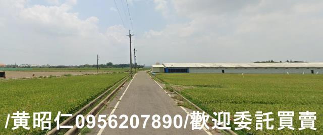 台南六甲農地-6