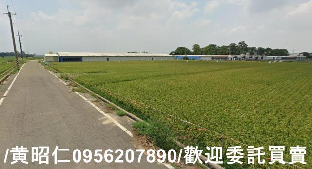 台南六甲農地-9