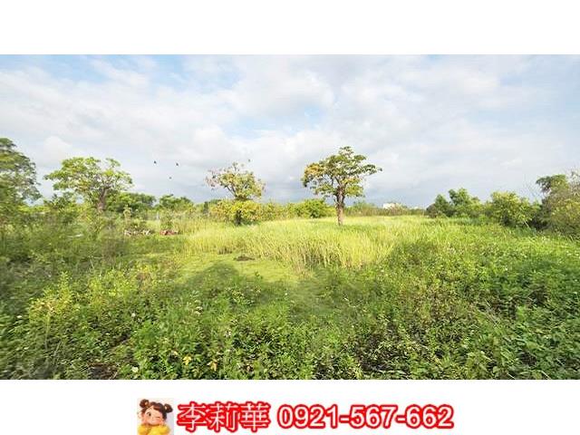 台南安定農地-10