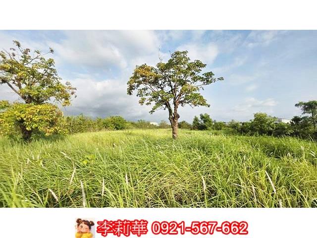 台南安定農地-6