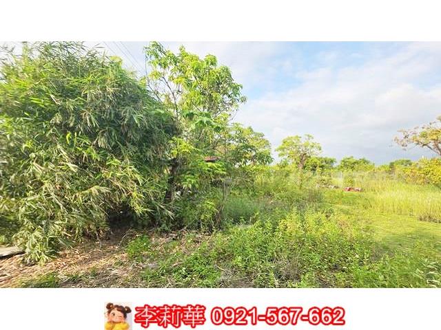 台南安定農地-8