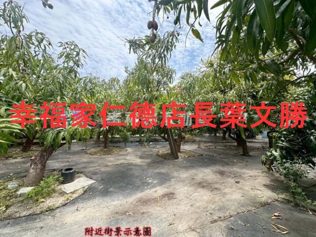 台南安定農地-3