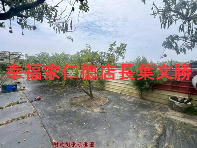 台南安定農地-4