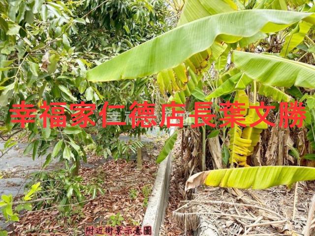 台南安定農地-6