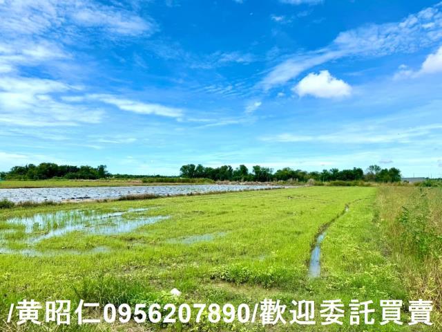 鹽水農地-1