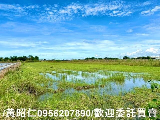 鹽水農地-2