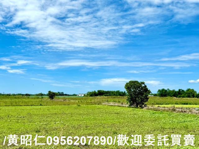 鹽水農地-3