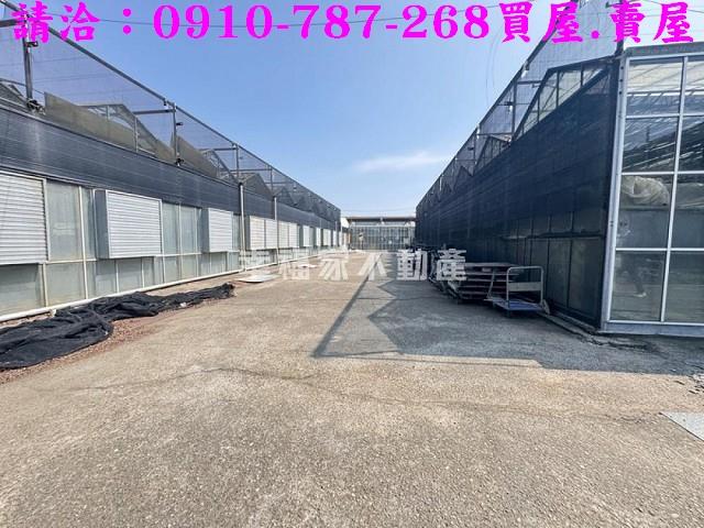 台南新營農地-14