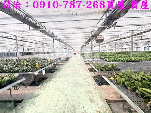 台南新營農地-5