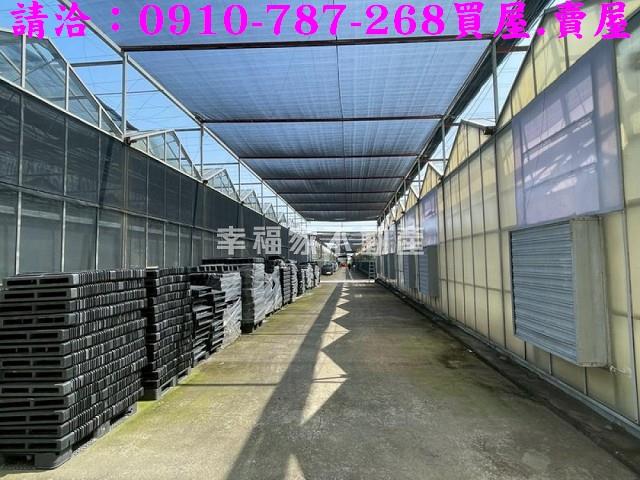 台南新營農地-7