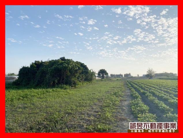 安南農地-2