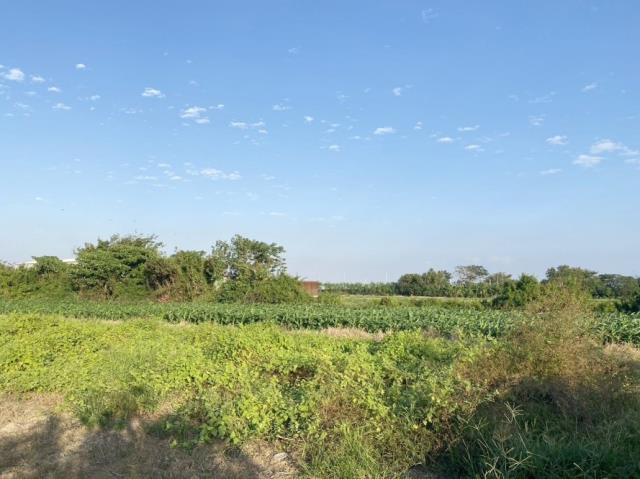 安南農地-3