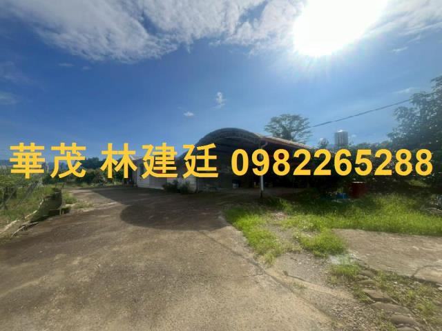 玉井法拍農地-2