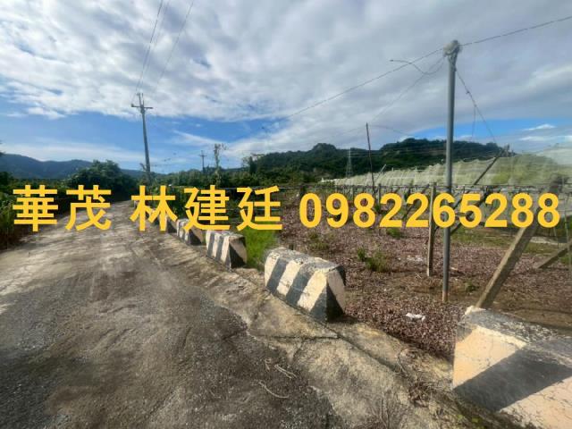 玉井法拍農地-3