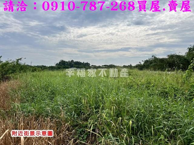 關廟農地-3