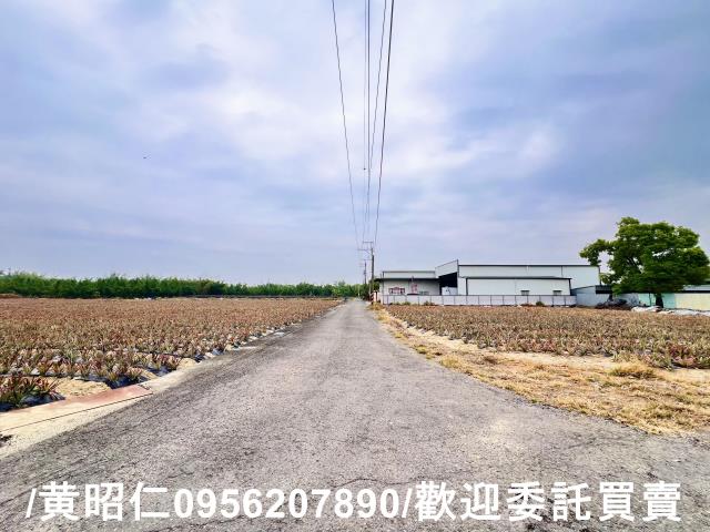 台南農地-6