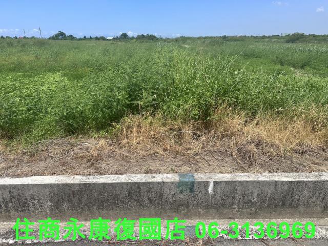 台南農地-1