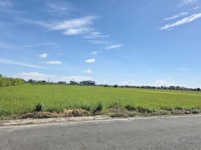 台南農地-9