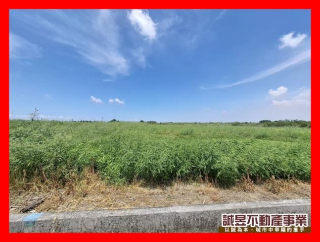 台南七股農地-1