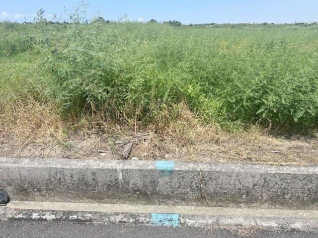 台南七股農地-7