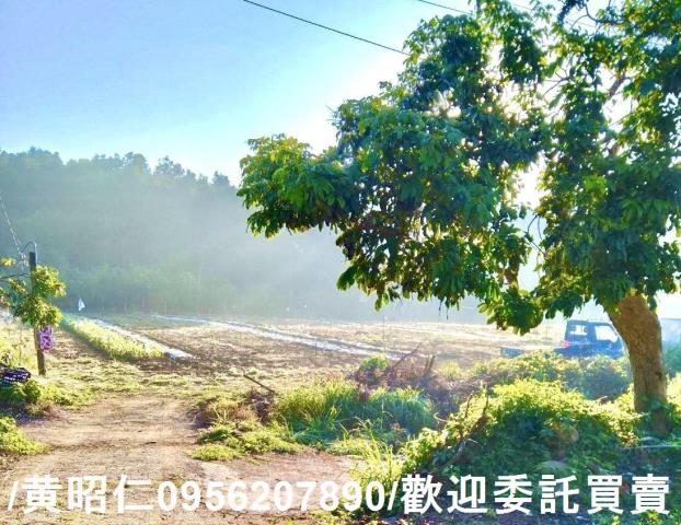 台南楠西農地-4
