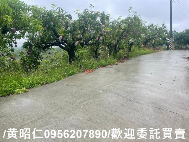 台南玉井農地-1