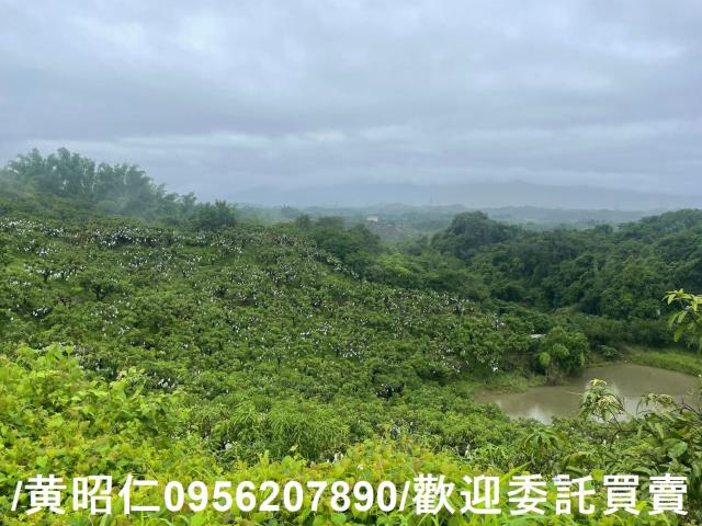 台南玉井農地-2