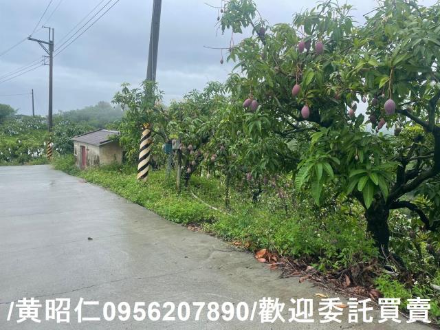 台南玉井農地-3