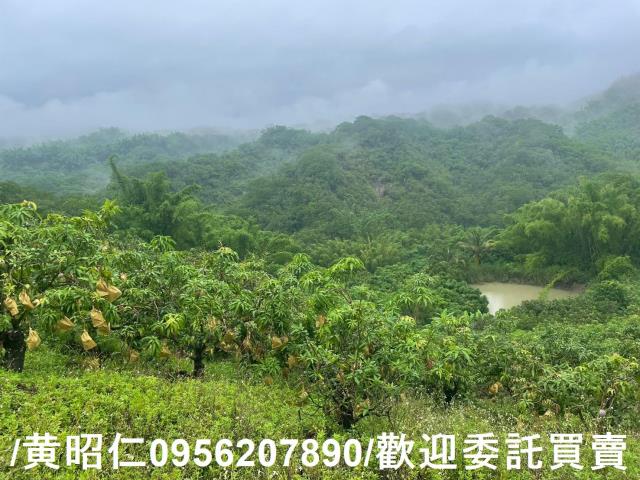 台南玉井農地-5