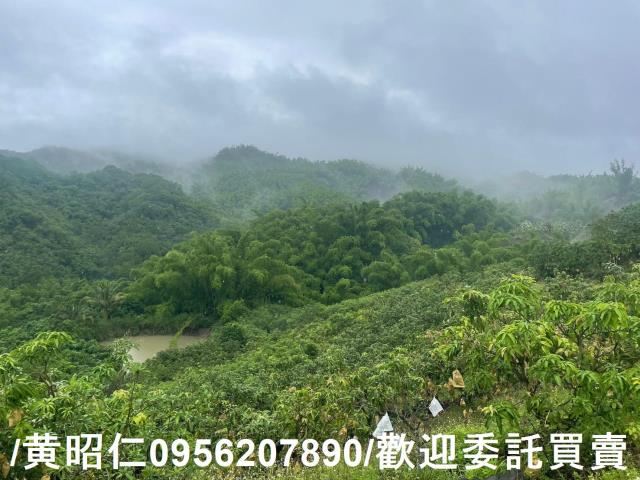 台南玉井農地-6
