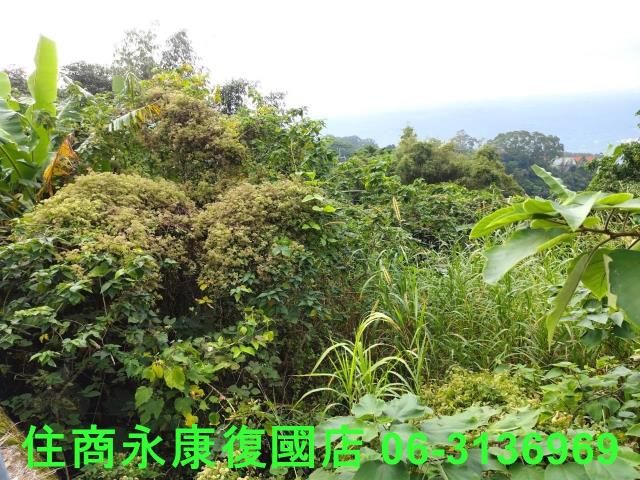 南化農地-4