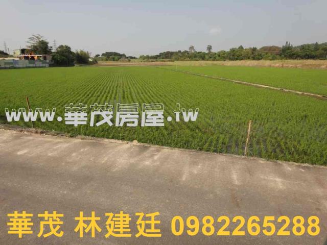 關廟農地法拍-7