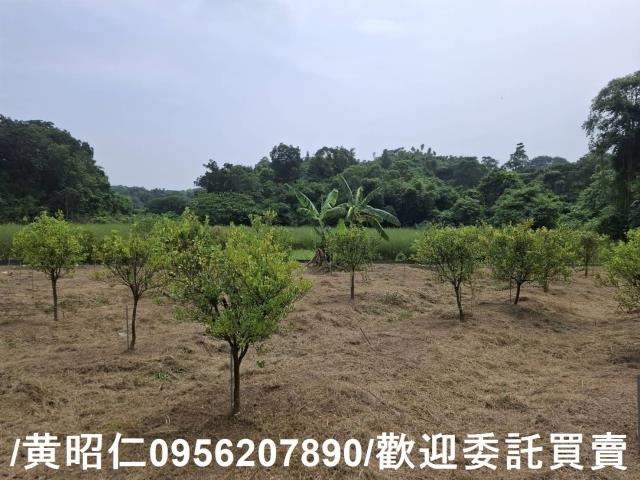 台南新化農地-1