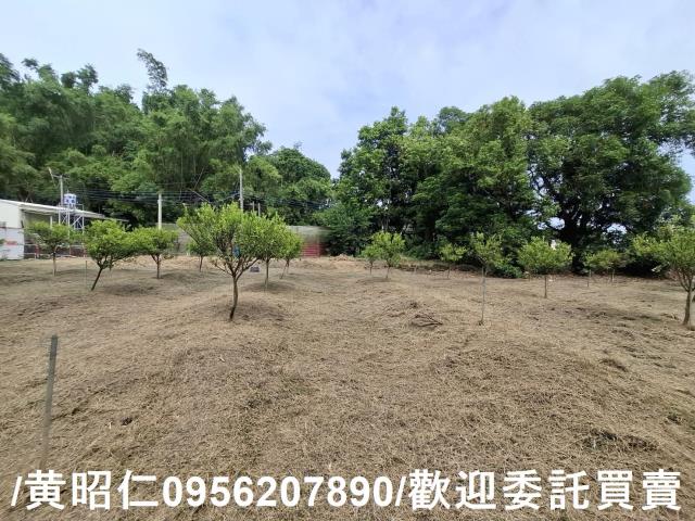 台南新化農地-3