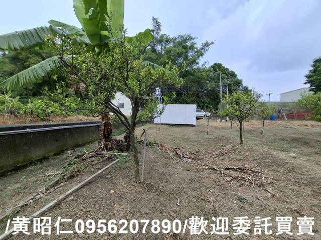 台南新化農地-5