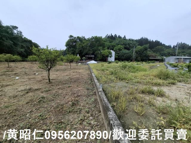 台南新化農地-6