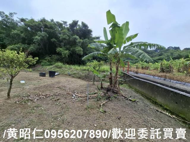 台南新化農地-8