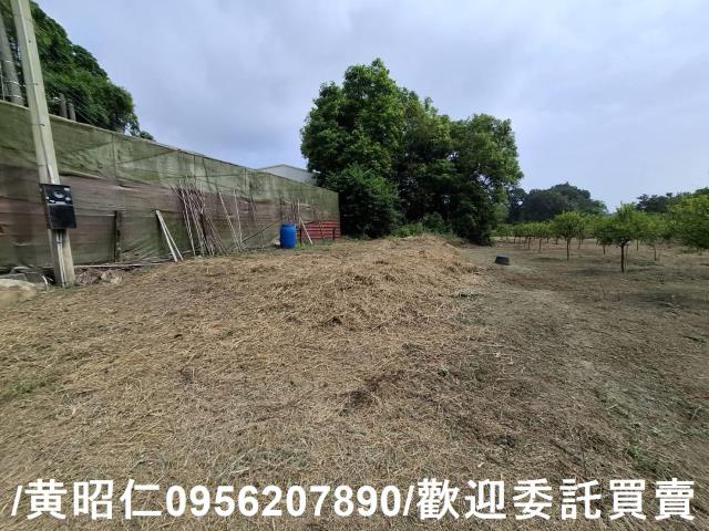 台南新化農地-9